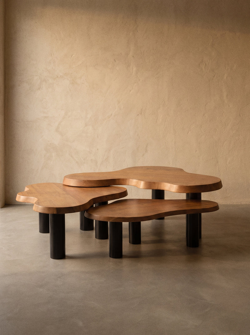 Tables Basses